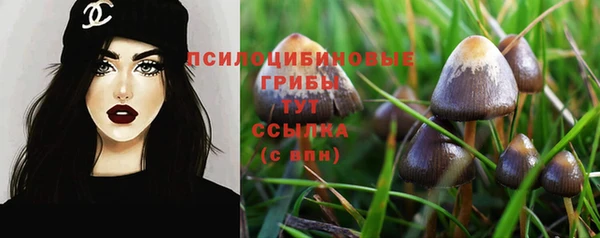 jwh Аркадак